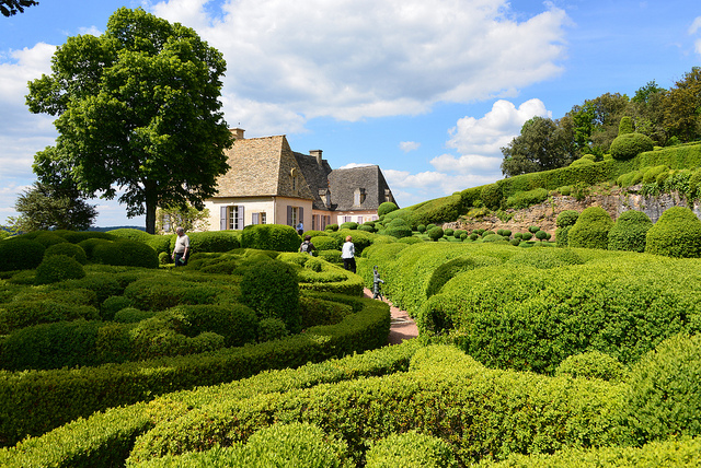 Haies de jardin