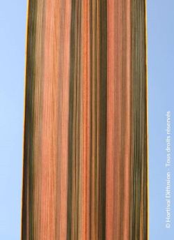 PHORMIUM PINK PANTHER