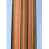 PHORMIUM PINK PANTHER (Lin de Nouvelle-Zélande)2