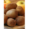 KIWI autofertile SOLOSSIMO