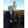 AMELANCHIER alnifolia OBELISK En pot de 10-12 litres