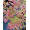 ACER pseudosieboldianum ARTIC JADE (Érable du Japon)