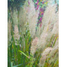 CALAMAGROSTIS brachytricha