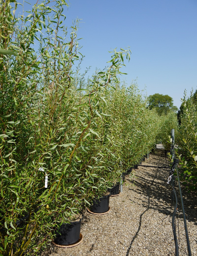 Eckige Saule Verkleiden
