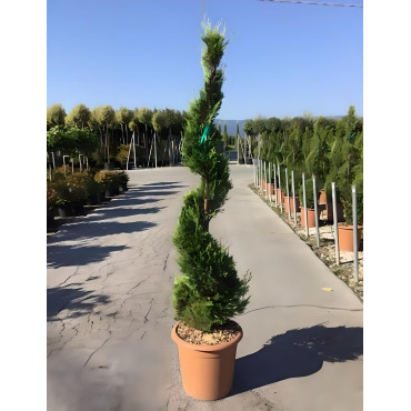 En pot forme spirale