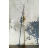 ACER campestre En racines nues tige hauteur du tronc 190-210 cm circonférence du tronc 10-12 cm