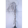 BETULA verrucosa YOUNGII En racines nues tige branchue de la base de la base circonférence du tronc 08-10 cm