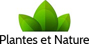 Plantes et nature